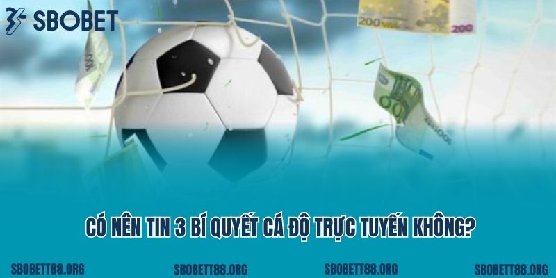 Có nên tin 3 bí quyết cá độ trực tuyến không?