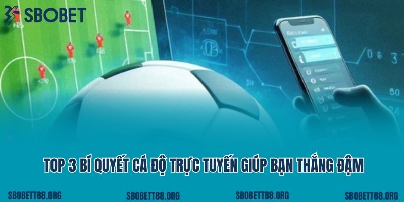Top 3 Bí Quyết Cá Độ Trực Tuyến Giúp Bạn Thắng Đậm