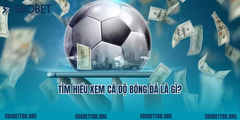 Tìm hiểu xem cá độ bóng đá là gì?