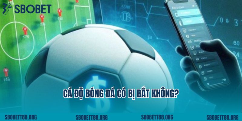 Làm Rõ Vấn Đề Nóng Liệu Cá Độ Bóng Đá Có Bị Bắt Không?