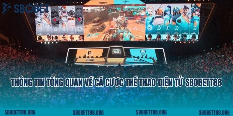 Thông tin tổng quan về cá cược thể thao điện tử Sbobett88