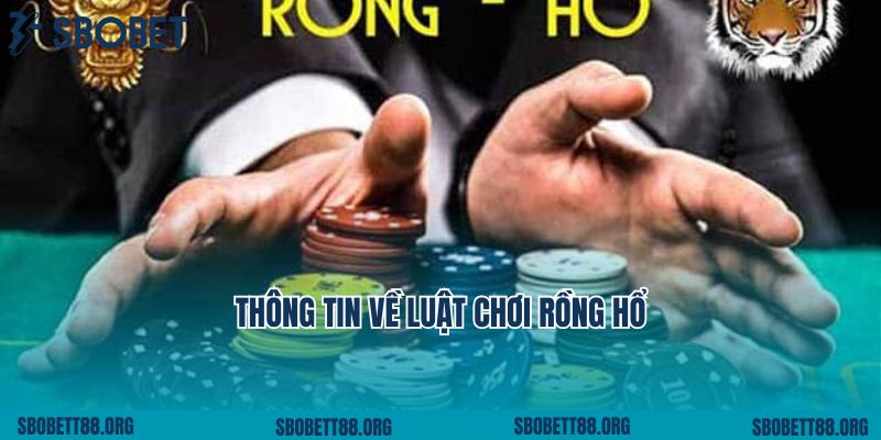 Thông tin về luật chơi Rồng Hổ QH88