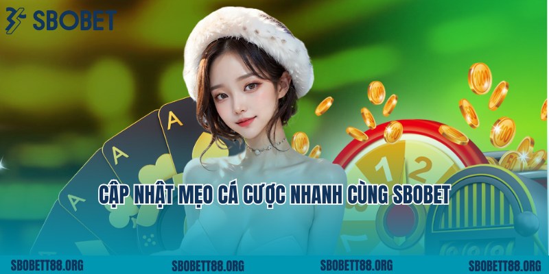 Tham gia theo dõi, cập nhật các mẹo cá cược cùng SBOBET