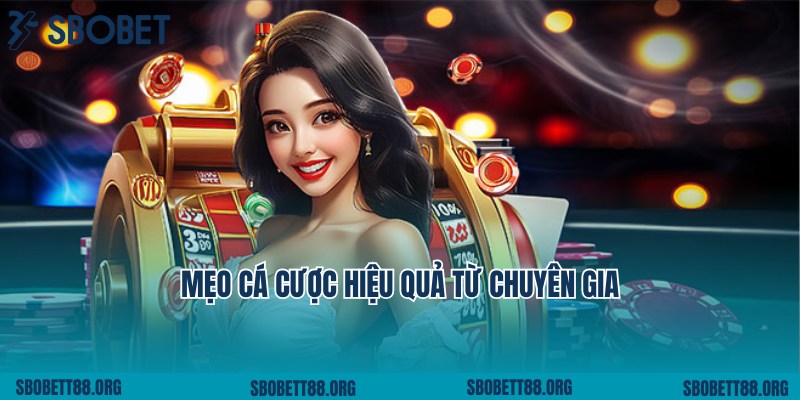 Mẹo Cá Cược - Tự Tin Nắm Chắc 99% Cơ Hội Thắng Cùng Cao Thủ