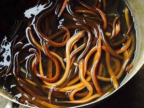 Con lươn số mấy không chỉ là một câu hỏi đơn giản, mà còn chứa đựng nhiều ý nghĩa sâu sắc