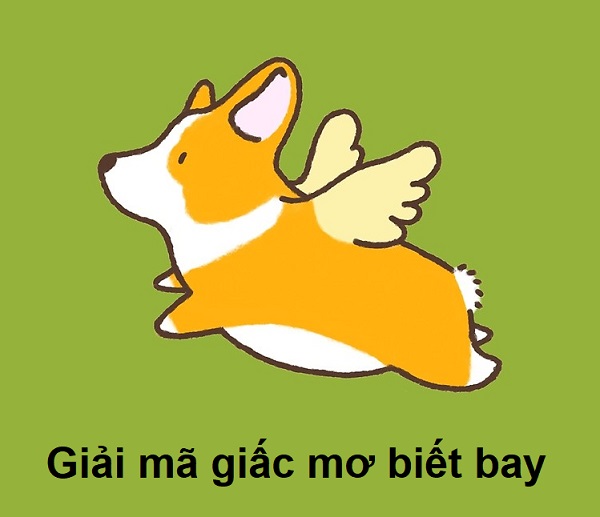  Mơ Thấy Chó Biết Bay