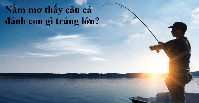 Mơ thấy câu cá chép