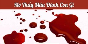 Mơ thấy máu chó